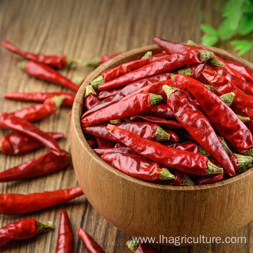 Wholesale Price High Quality Red Chili Sichuan Spice